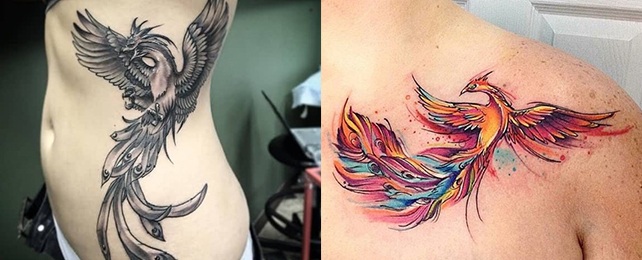 Girl phoenix tattoo 40+ Phoenix