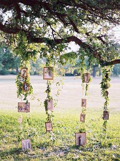 Photo Chain Wedding Tree Decor