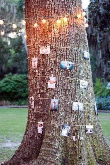 Photos Around A Tree Cheap Wedding Decorations