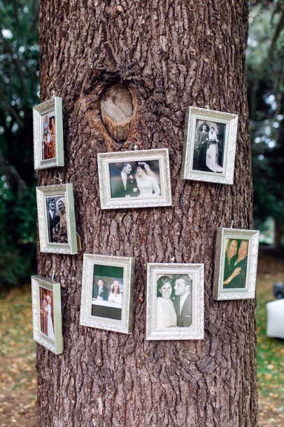 Photos On Tree Wedding Decor