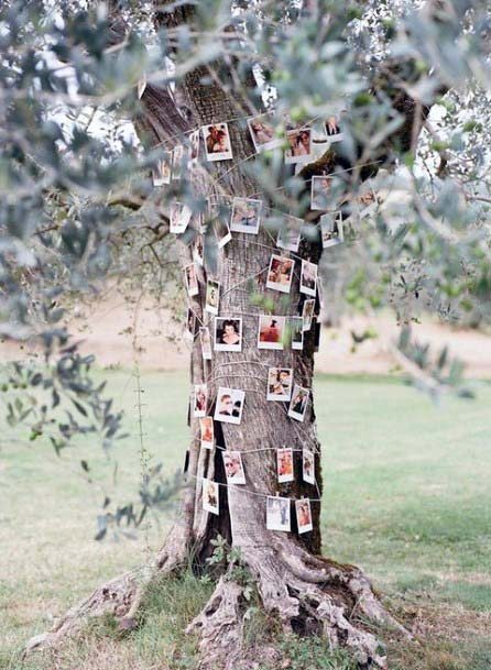 Pictures On Tree Wedding Decor