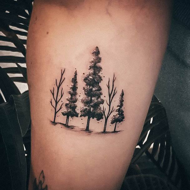 Pine Tree Tattoo Design Ideas For Girls