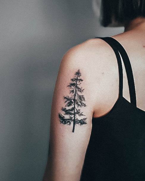 Top 100 Best Pine Tree Tattoos For Women - Forest Design Ideas