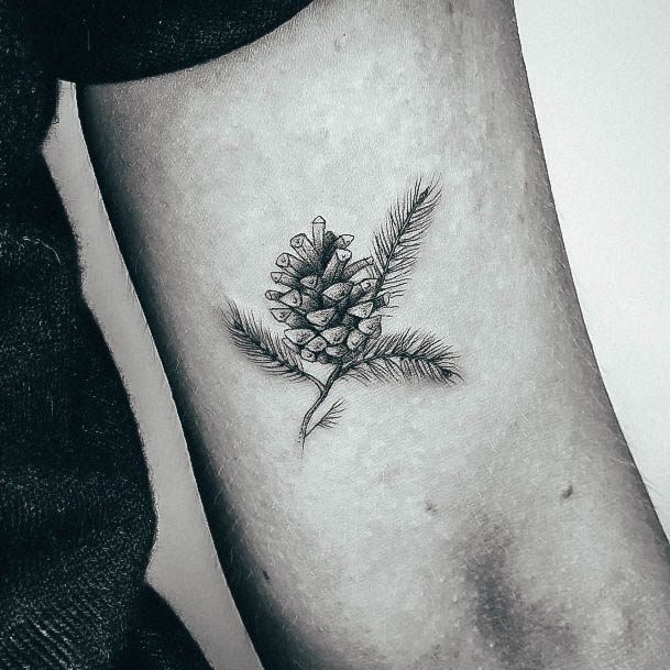 Pine Tree Womens Tattoo Ideas