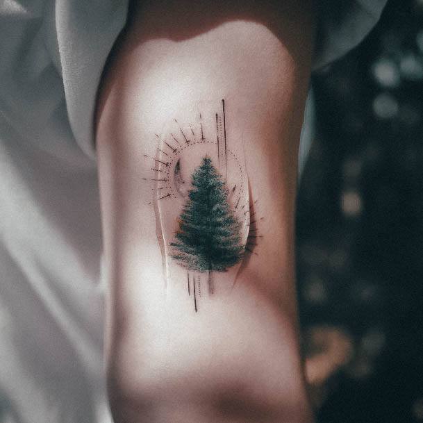 Pine Tree Womens Tattoos