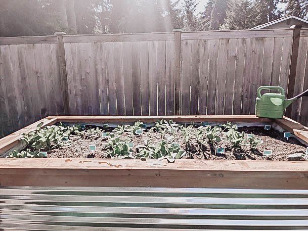 Plant Beds Metal Raised Garden