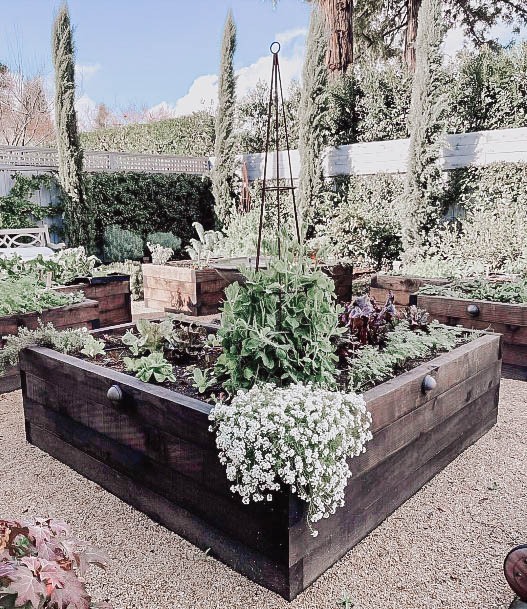 Plant Beds Modern Raised Garden