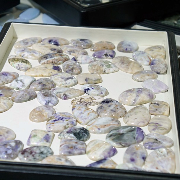 Polished Finds Denver Gem And Mineral Show