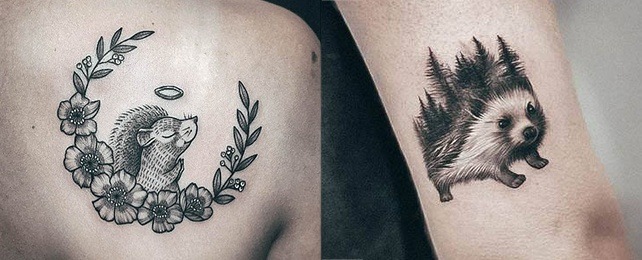 Top 100 Best Porcupine Tattoos For Women – Sharp Quill Design Ideas