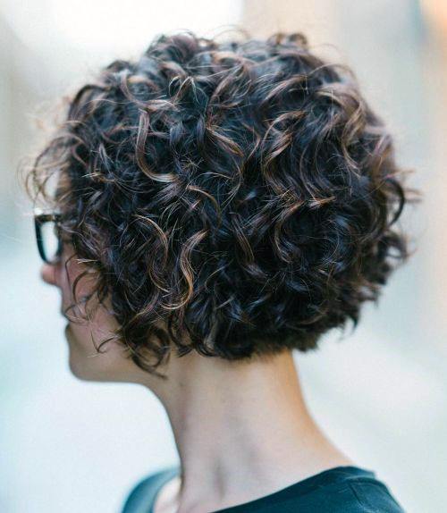 Precise Shaped Bob Of Female With Highlights Naturally Curly And Stylish