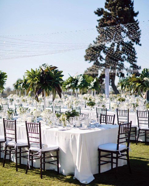 Pretty Bright White Outdoor Nature Wedding Elegant Ideas