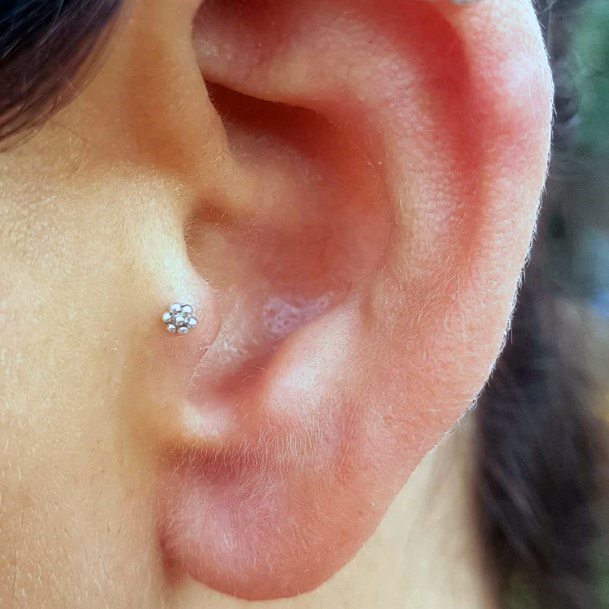 Pretty Tragus Flora Ear Ring Piercing Ideas For Women