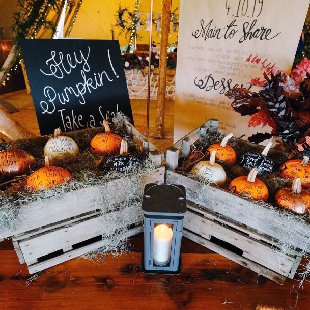 Pumpkin Themed Cheap Wedding Decorations