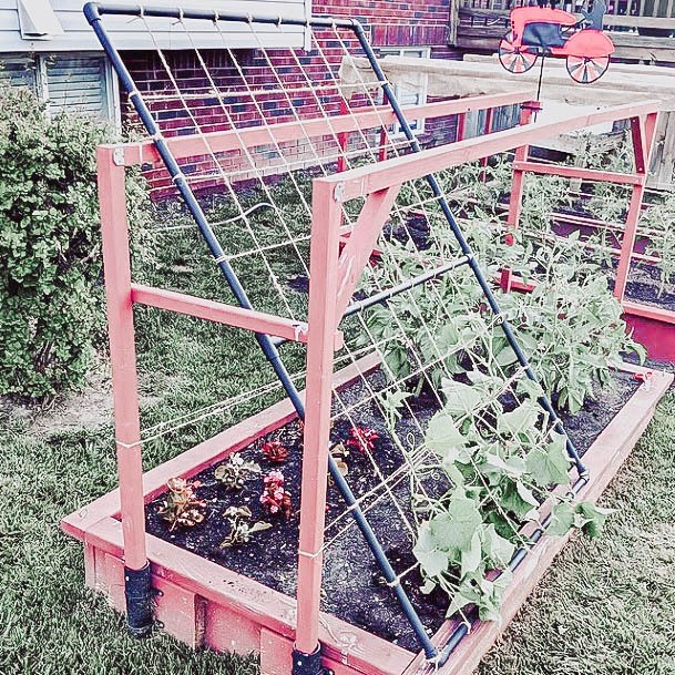 Raised Garden Bed Boxes Best