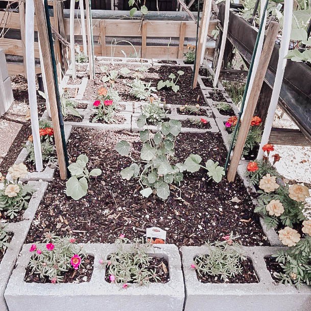 Raised Garden Bed Boxes Cinderblock