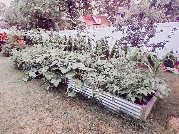 Raised Garden Bed Boxes Galvanized