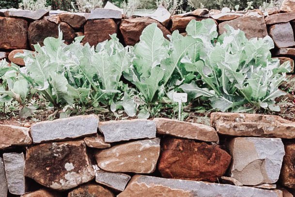 Raised Stone Rock Garden Bed