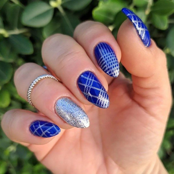 Ravishing Blue And Silver Nail On Female