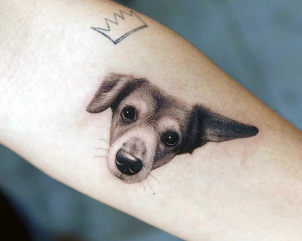 Ravishing Dachshund Tattoo On Female