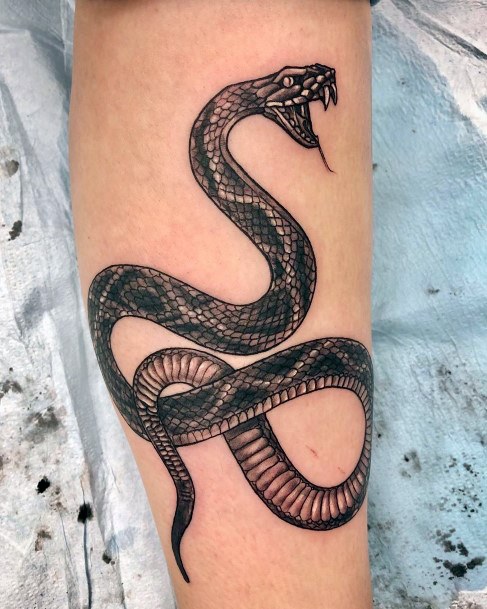 Ready To Strike Snake Tattoo Womens Hands