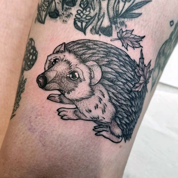 Remarkable Womens Hedgehog Tattoo Ideas