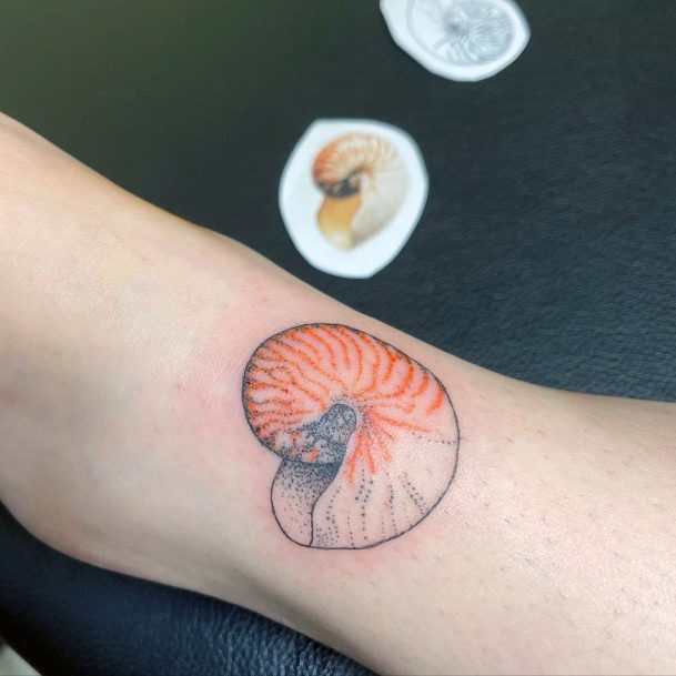 Remarkable Womens Nautilus Tattoo Ideas