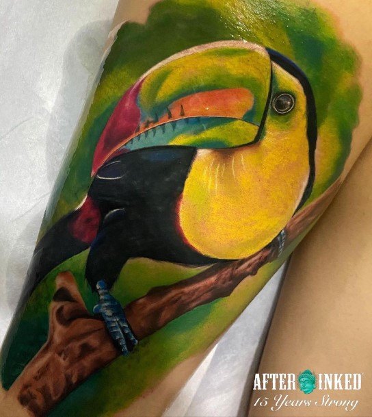 Remarkable Womens Toucan Tattoo Ideas