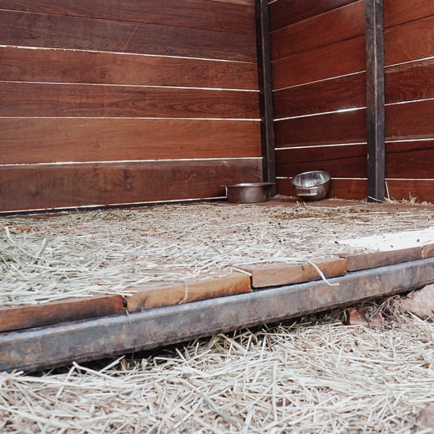 Ridge Haven Ranch Floor Of Goat Shed