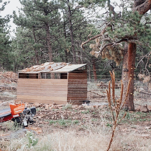 Ridge Haven Ranch Shed For Goats