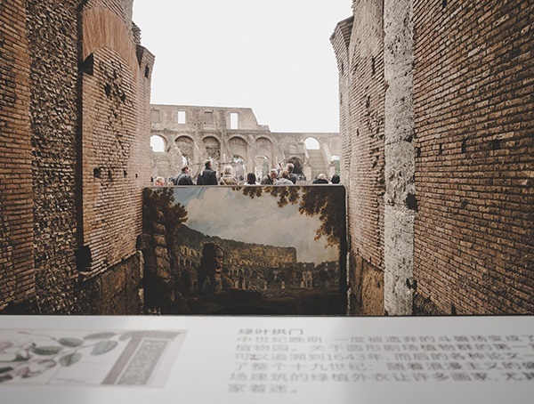 Rome Colosseum Amphitheatre Travel Ideas