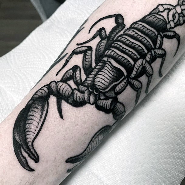 Scary Scorpion Tattoo Womens Arms