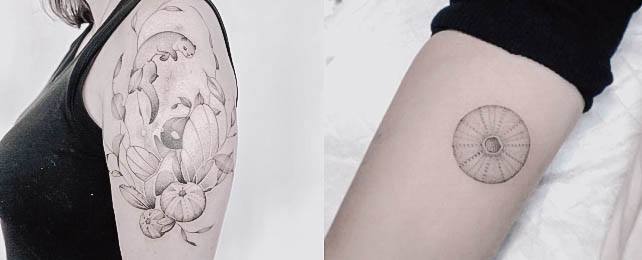 Top 50 Best Sea Urchin Tattoos For Women – Shell Design Ideas