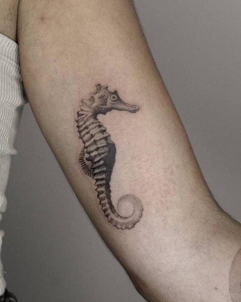 Seahorse Tattoo Feminine Designs