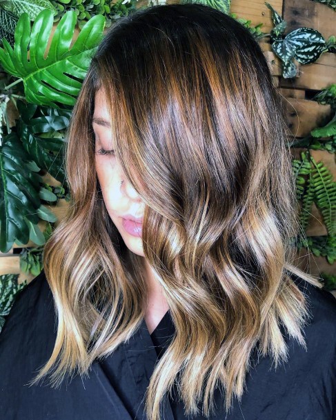 Shoulder Length Hair Ombre Dark To Light Brown Thick Waves Hairstyle Ideas