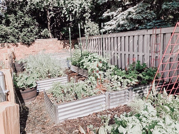 Simple Galvanized Raised Garden Bed Ideas