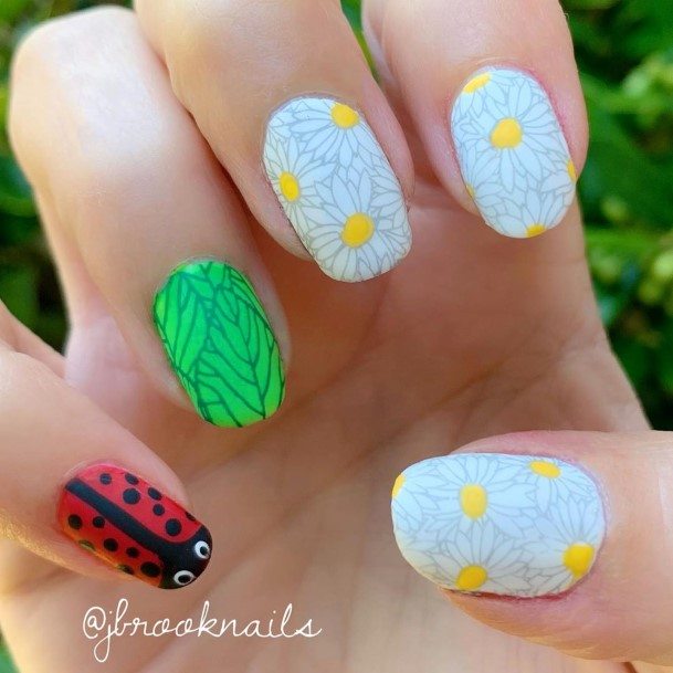 Simple Ladybug Nail For Women