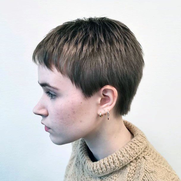 Simplistic Layered And Shiny Ashy Brown Pixie Cut Womens Hairstyle