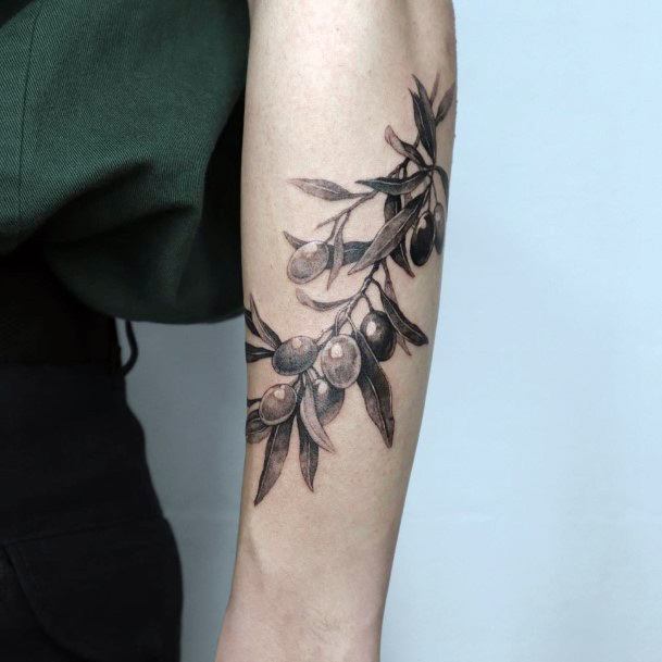 Simplistic Olive Tree Tattoo For Girls