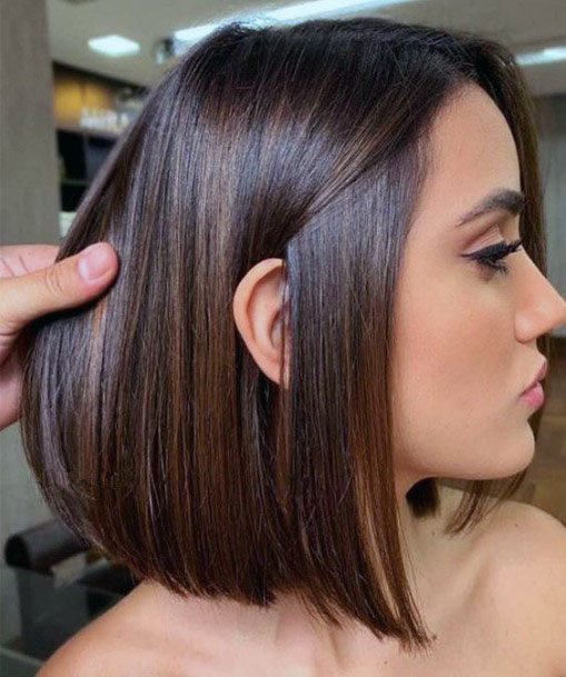 Sleek And Hottest Brown And Caramel Highlighted Bob Womens Hairstyle