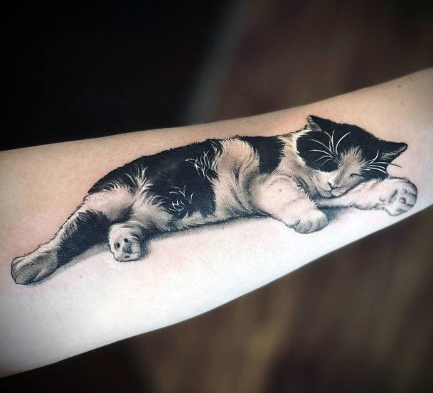 Sleeping Cat Tattoo For Women On Hands