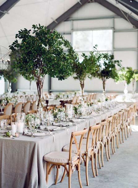 Small Trees On Dining Table Wedding Tree Decor