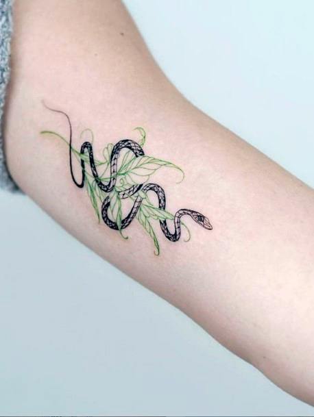 Snake And Leaves Tattoo Womens Arms