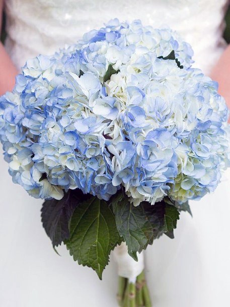 Spectacular Blue White Hydrangea Wedding Flowers