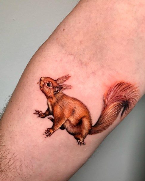 Squirrel Tattoos For Girls