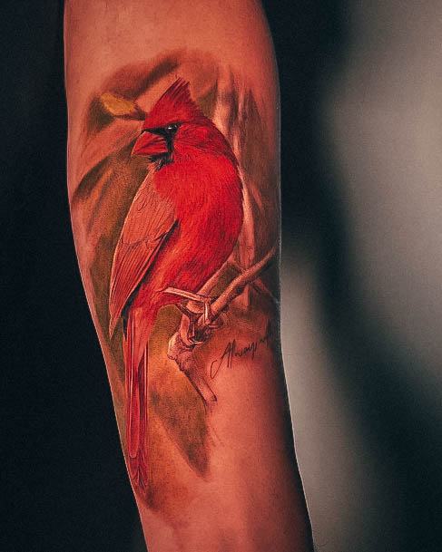 Stellar Body Art Tattoo For Girls Cardinal