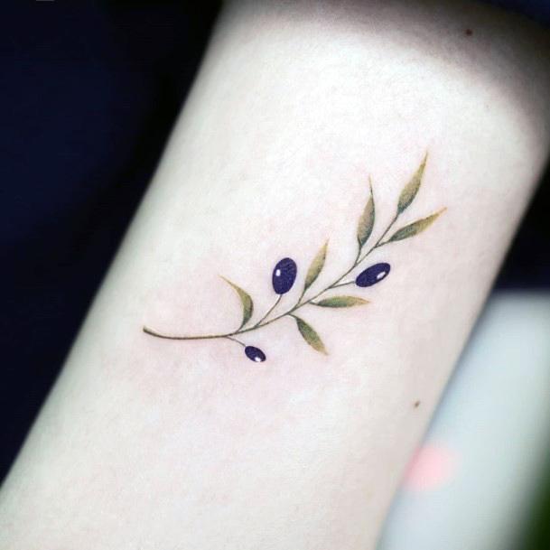 Stellar Body Art Tattoo For Girls Olive Tree