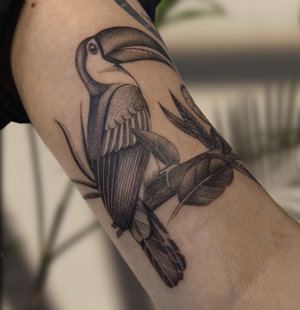 Stellar Body Art Tattoo For Girls Toucan