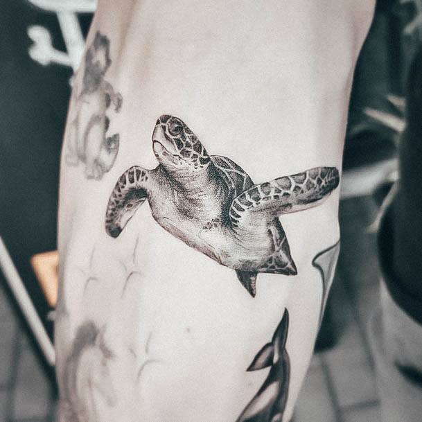 Stellar Body Art Tattoo For Girls Turtle