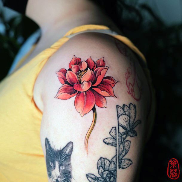 Stellar Body Art Tattoo For Girls Water Lily