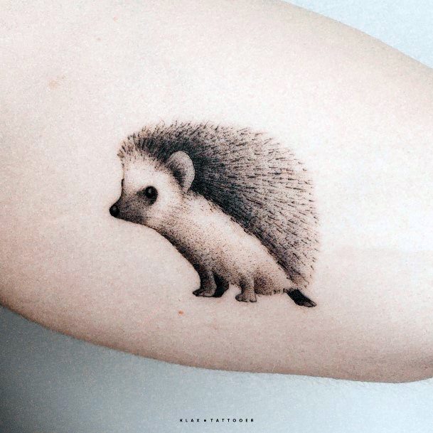 Stunning Girls Hedgehog Tattoos